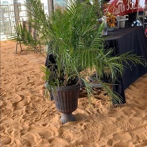 Meet your Posher, Madeline